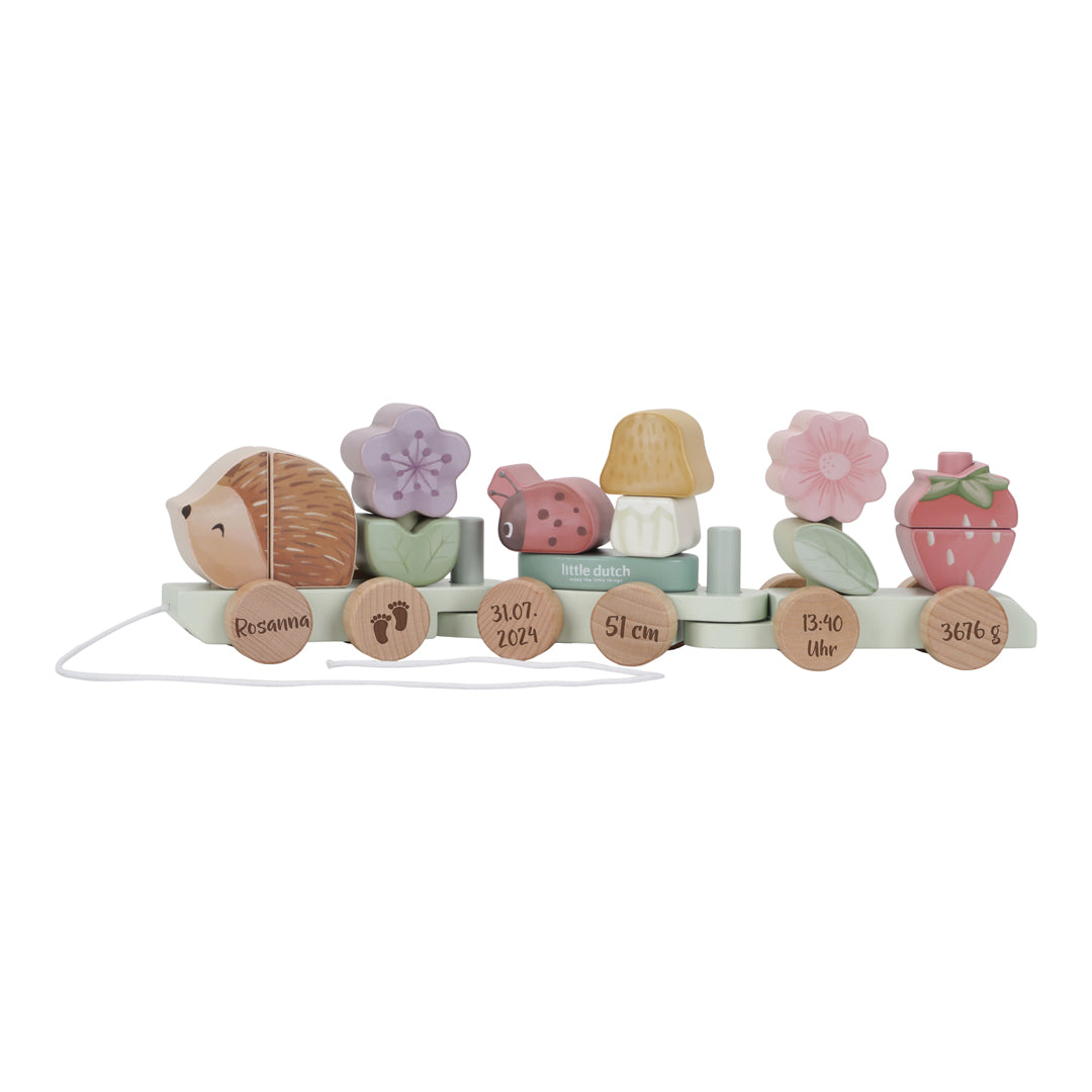 Tren de madera personalizado erizo para nacimiento – Fairy Garden