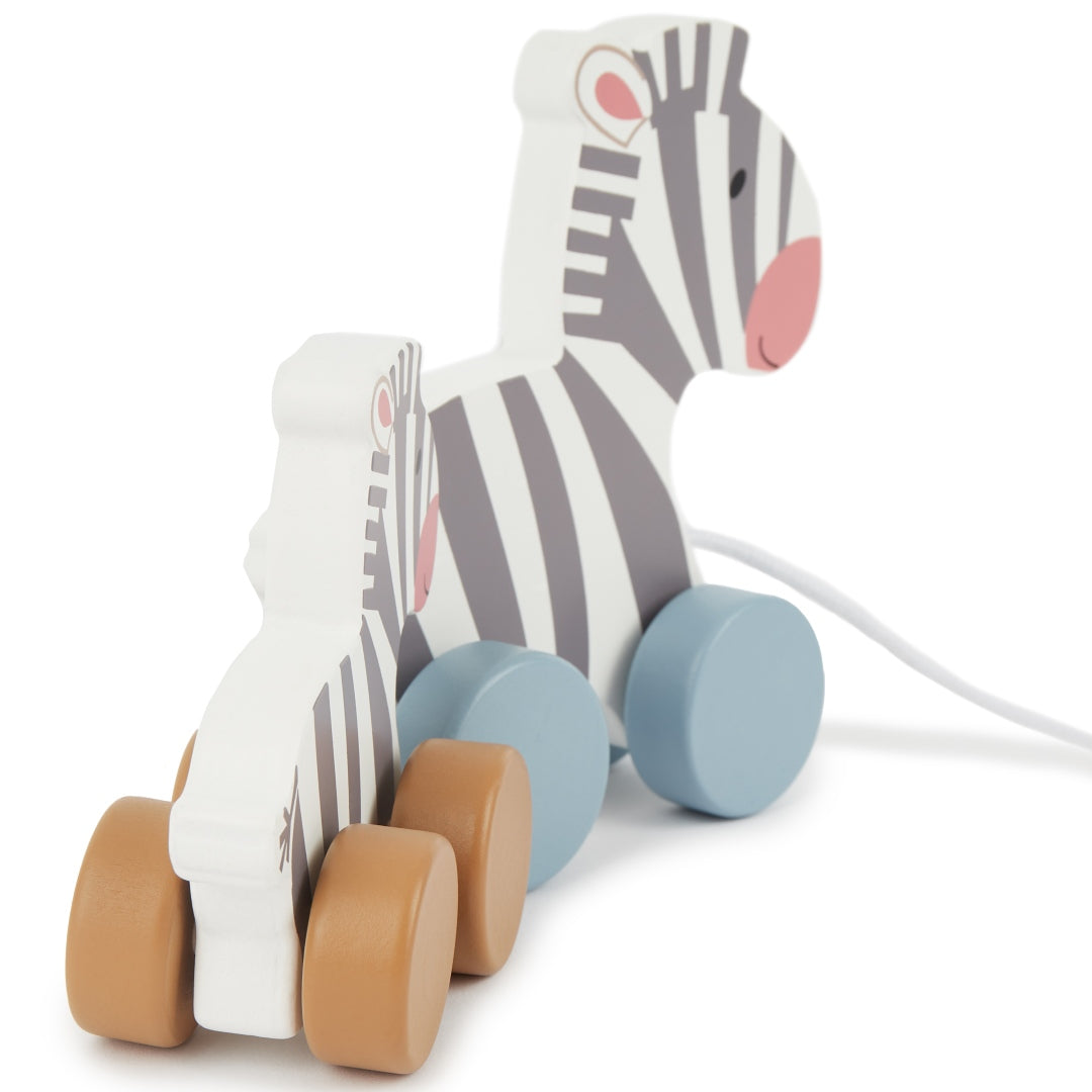 Trailing Zebras | bieco