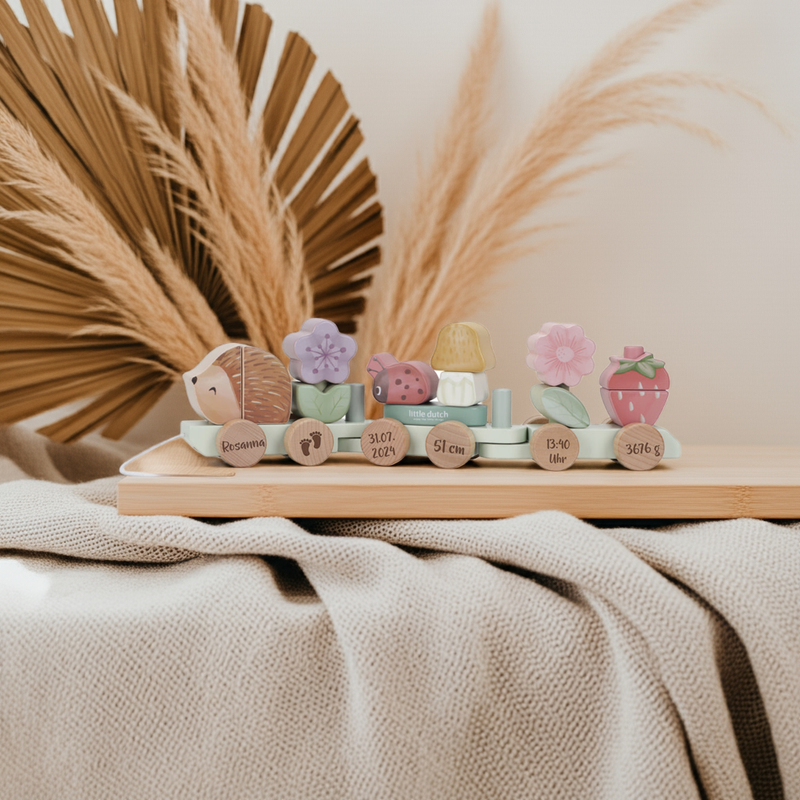 Tren de madera personalizado erizo para nacimiento – Fairy Garden
